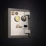 گاوصندوق البرزکاوه